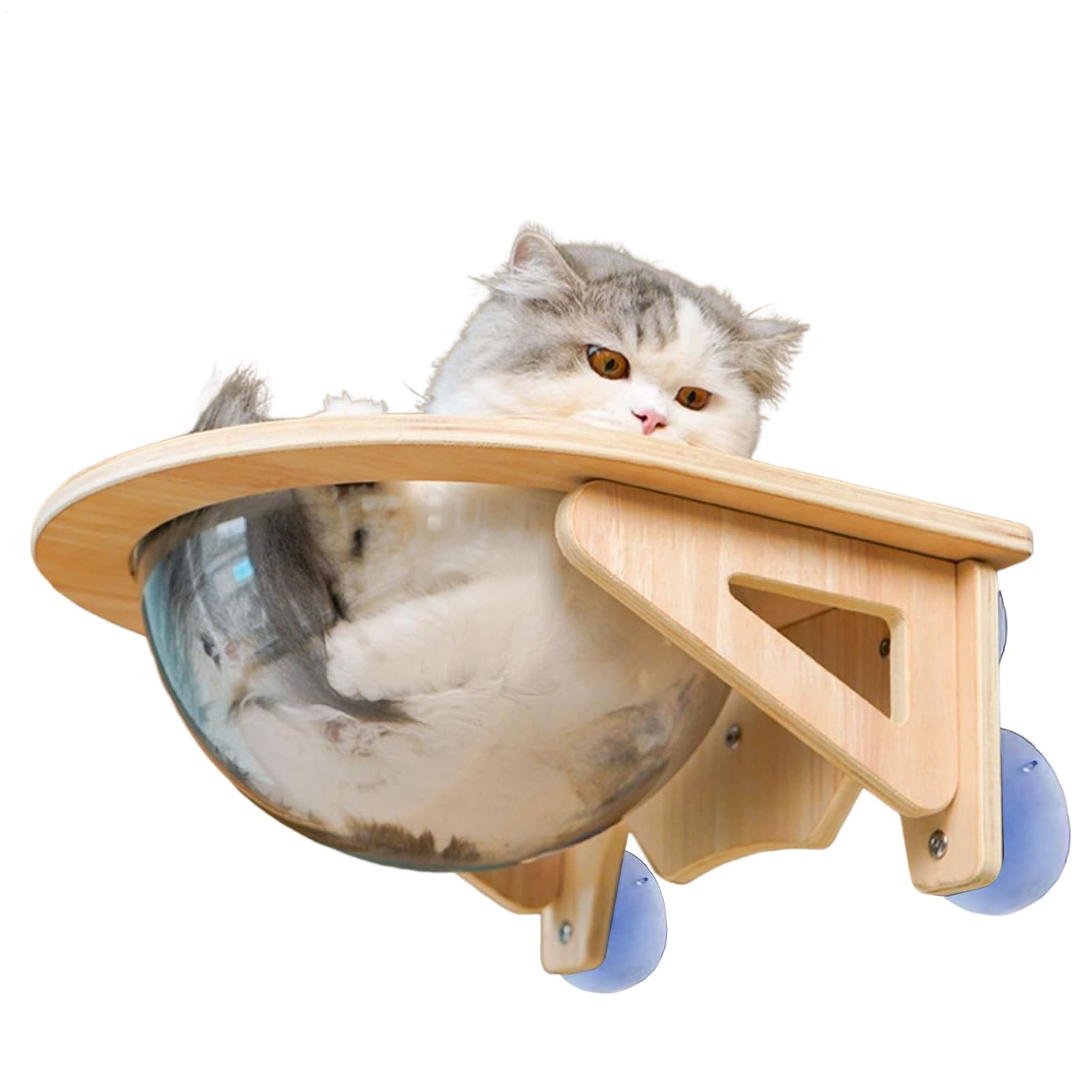猫用 窓際臥榻 吸盤式 澄み切ったどんぶり鉢 キャットハンモック キャットウォーク 愛玩動物用 飾りもの式 キャットステップ 見晴らし台 省間隔文字 木製 室内用 今めかしい