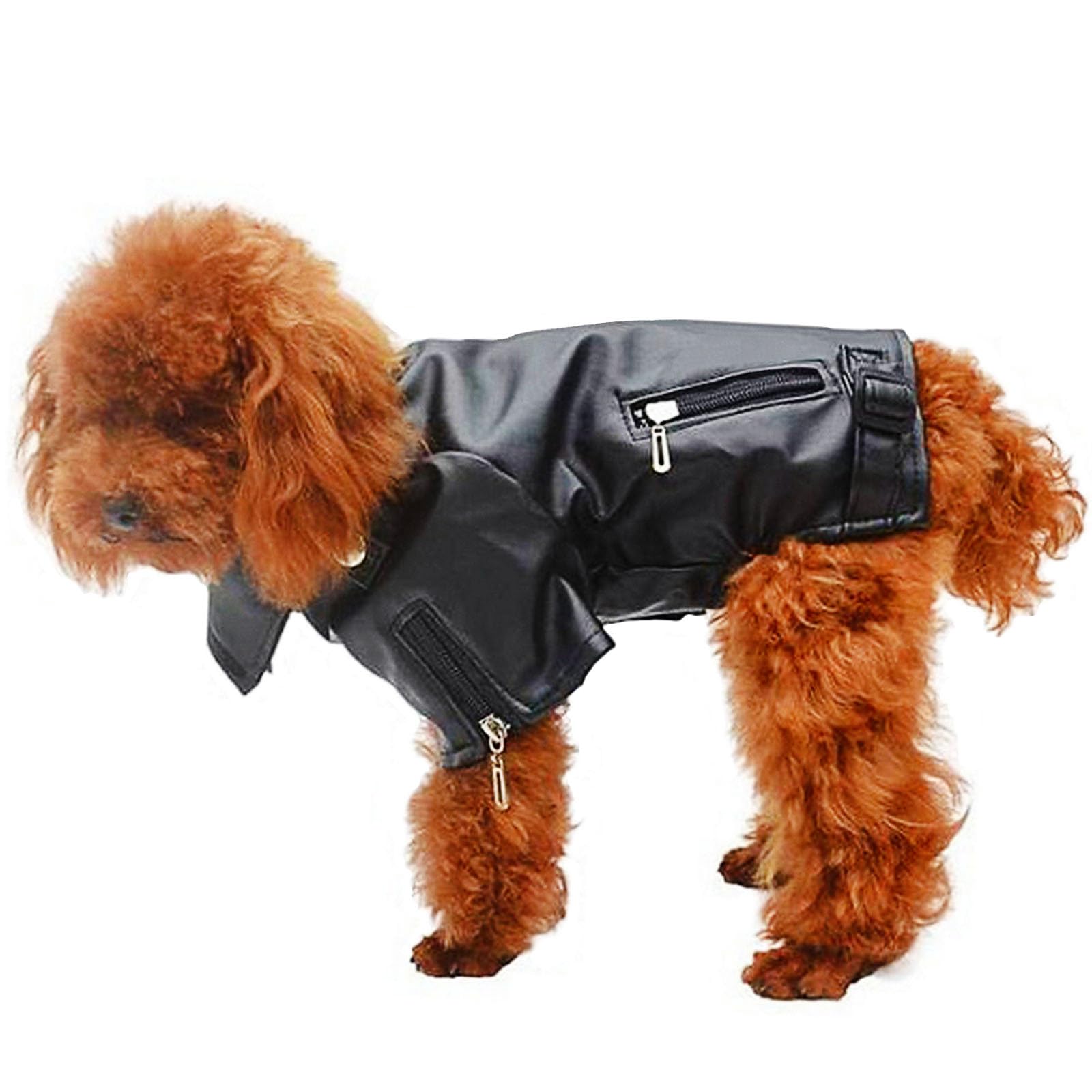 犬用 なめし革上衣 秋冬 防寒 防風 愛玩動物服 ライダース風 ドッグウェア PUなめし革 厚地の外套 おほっつき歩く 中小型犬 大型犬 今めかしい