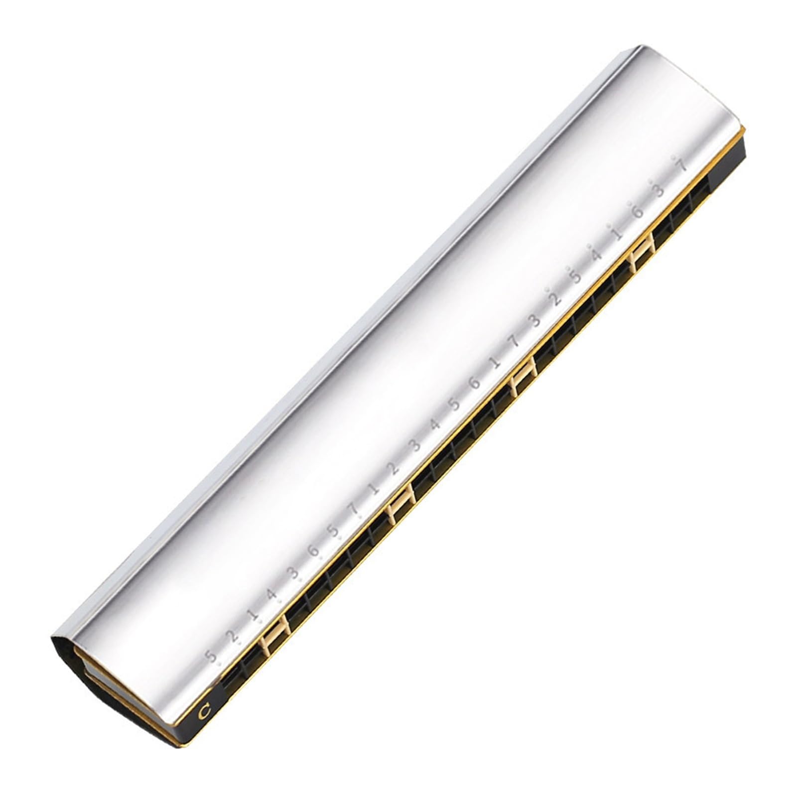 ハーモニカ 24穴 C調 複音ハーモニカ 初心者 入門セット 練習用 楽器 音楽 ギフト 初心者向け楽器｜ゆめのマルシェ企画 9,282円