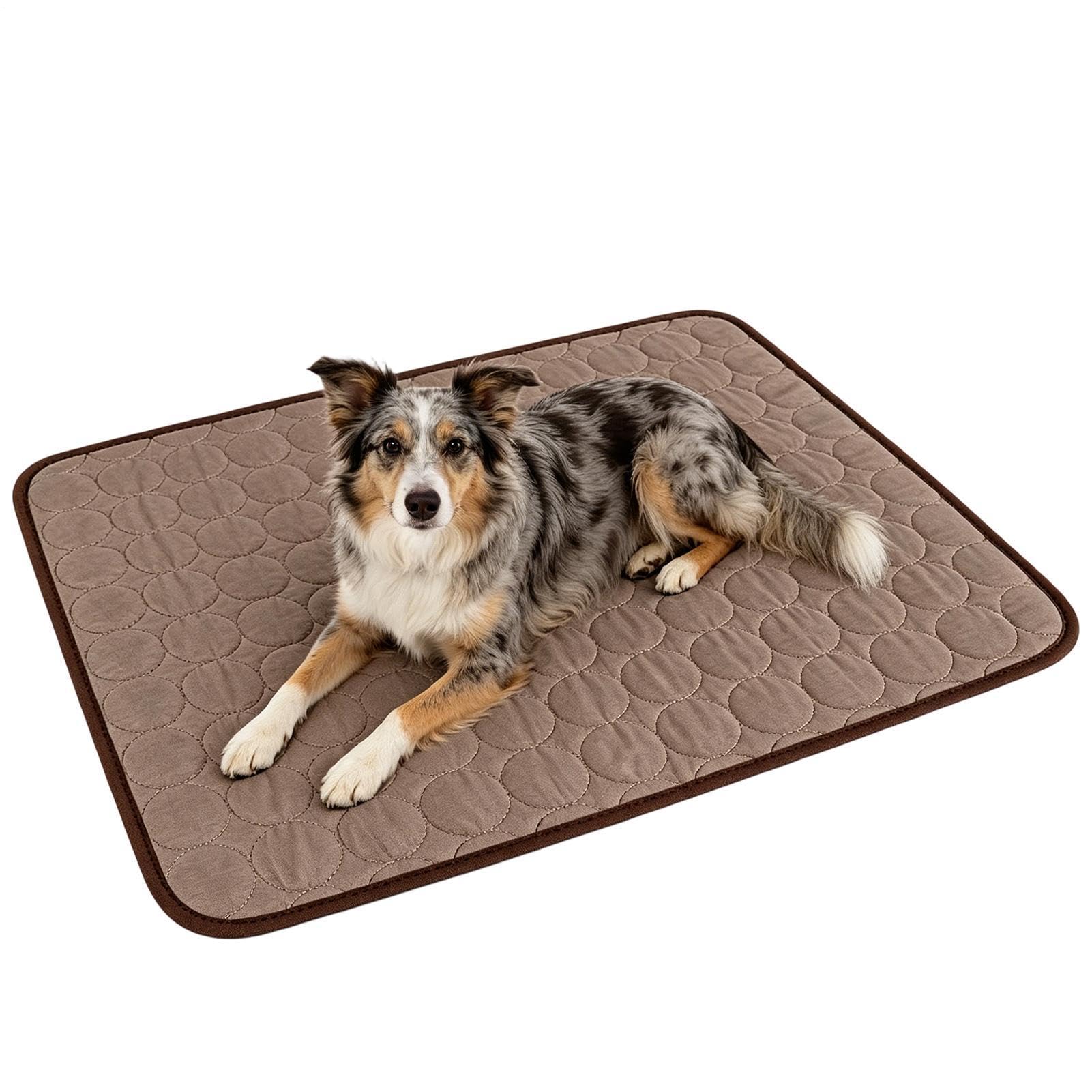 犬用冷却マット | アイスシルク 洗える 通気性 持ち運び,ペット用ひんやりマット - 小型 中型 大型犬対応 ソファ ベッド 床 ケージ 車 シート サークル｜ゆめのマルシェ企画