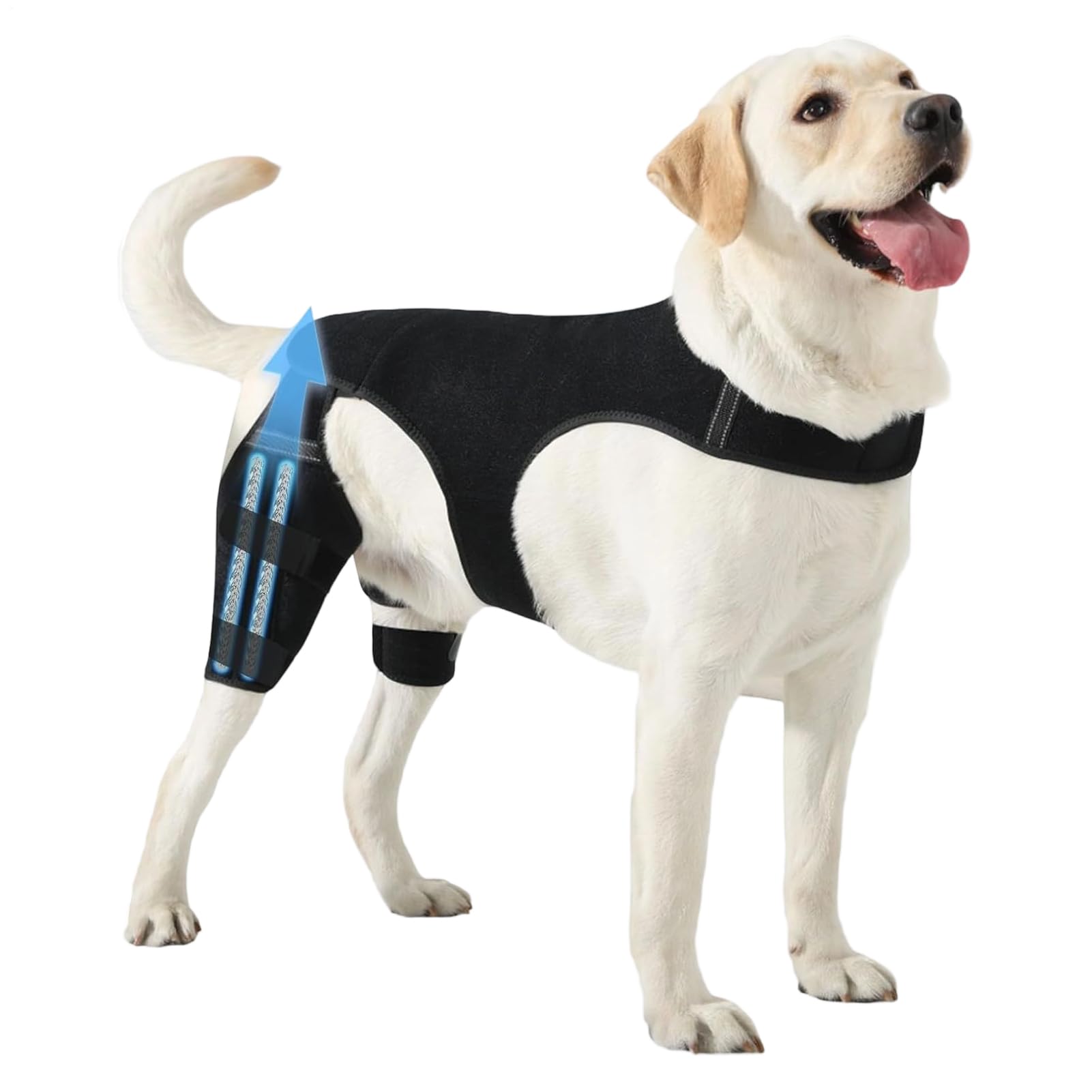 犬用 膝 サポーター | 調整可能 膝 サポーター,犬用 後脚 サポート 4 本 金属 スタビライザー 付き - 歩行、ハイキング、アウトドア活動、公園、ビーチ、旅行、家庭用に最適｜ゆめのマルシェ企画