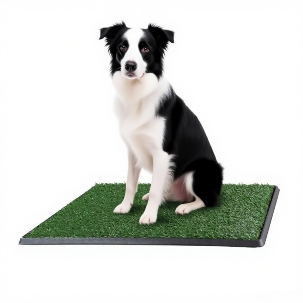 ペット犬トイレのおしっこの芝生、屋内＆屋外のためな犬の草のマット プラスチック製偽芝用おしっこパッド,人工芝犬の犬の草の子犬のトイレ訓練犬の決まった場所で排尿する訓練 (41*51)｜ゆめのマルシェ企画