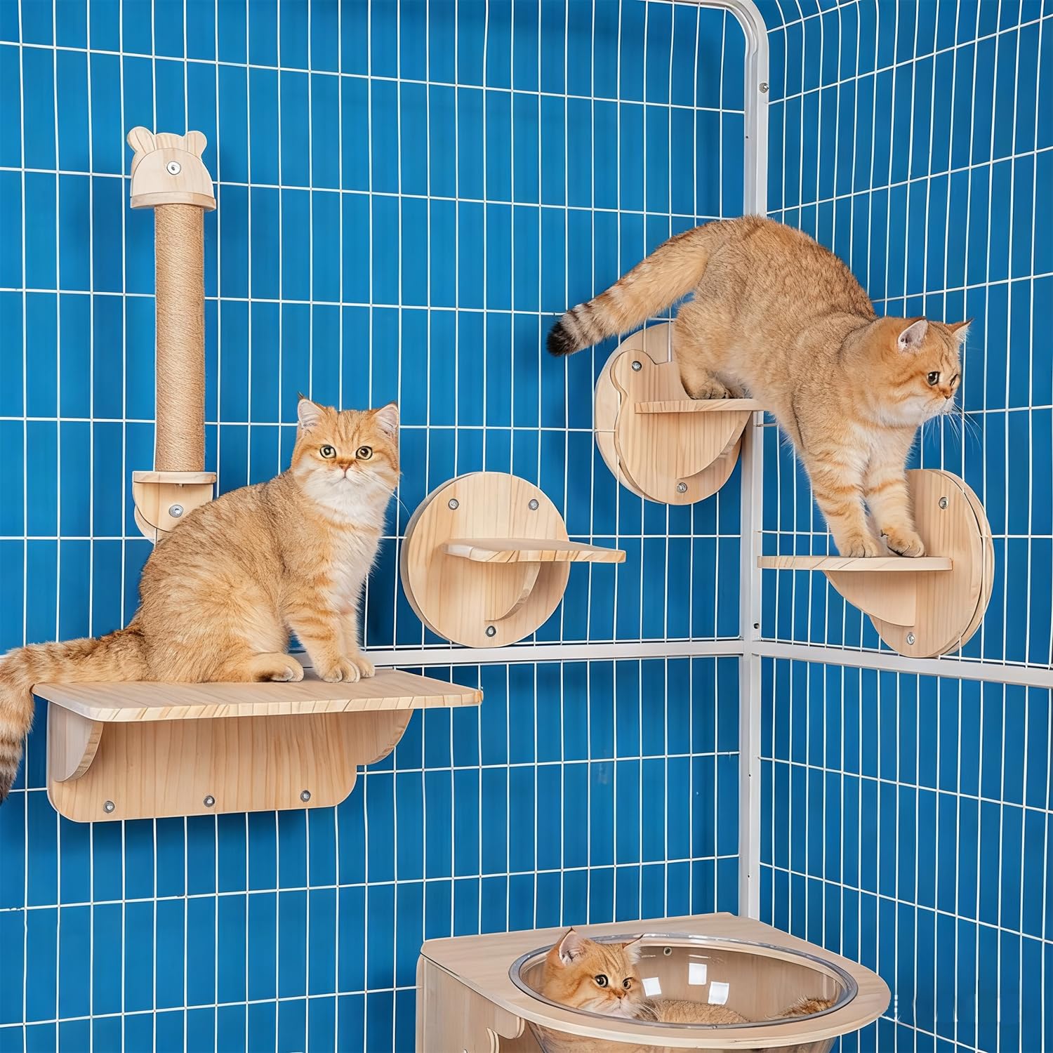 猫 ケージ用テップ 猫 ケージ用爪とぎポール ケージ取り付け ねこ 爪研ぎ 天然麻 省スペース ポール つめとぎ 麻縄 猫用ゲージ ペットゲージ 取り付け 簡単 縦型 ストレス解消 運動不足対策 ネコ ナチュラル 木目 (スタイル,詳細画像)｜ゆめのマルシェ企画