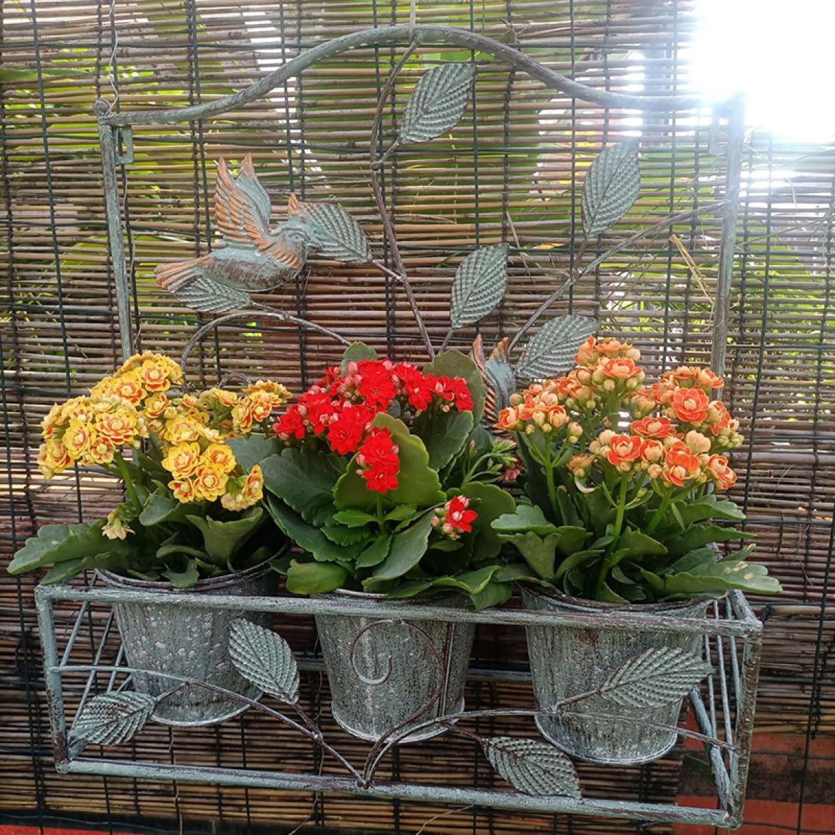 壁掛け植木鉢バスケット 鋳鉄植木鉢 ぶら下げ植物ブラケット 40*14*44 吊り下げ アンティーク調 庭用植物用ブラケット プランター 壁掛け用ブラケット 鉢植 グリーン/緑 防錆ブラケット 屋内外 ガーデンブラケット 観葉植物 吊り下げ可能 [6]｜ゆめのマルシェ企画