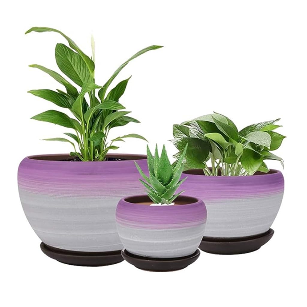 セラミックフラワーポット 3個セット 排水穴付き ガーデニング用 パープル ラウンド 多肉植物 植木鉢 ホームオフィス装飾用|ゆめのマルシェ企画