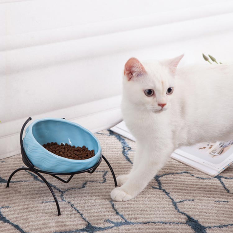 猫 犬 ペット食器台 皿 ネコ 餌入れ 傾斜 頸椎を保護 犬猫 陶器 フードボウル ペット 滑り止め 食器 お水入れ 猫ボウル 犬 セット ペットグッズ ペット食器 容器 給水 給食器 動物 お皿 シンプル かわいい おしゃれ｜ゆめのマルシェ企画