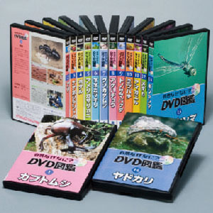 自然なぜなに？野生昆虫DVD図鑑セット 【第１集セット】【第２集セット】 【代引き手数料無料】【送料無料】
