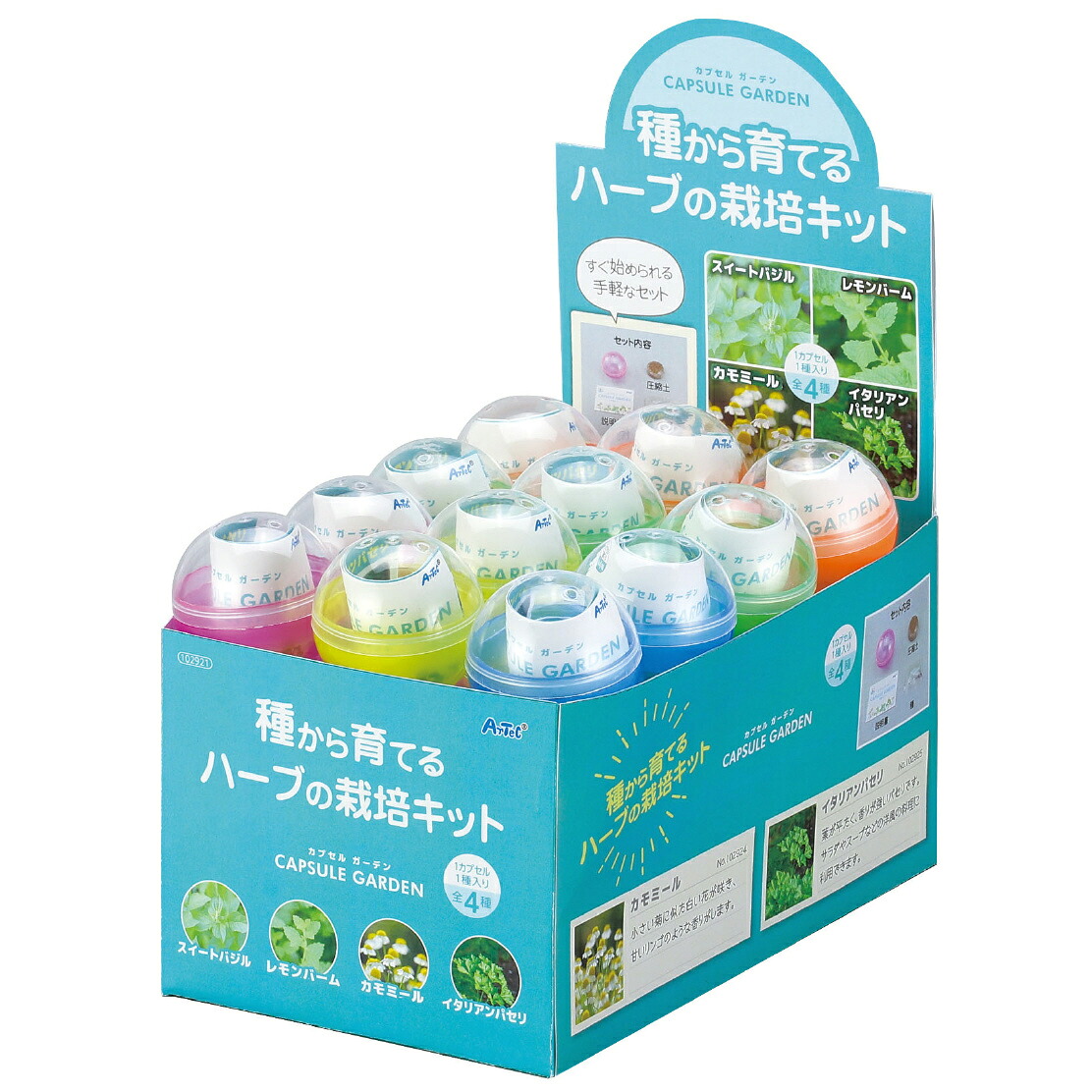 草本作りだす一揃いの道具 BOX仕掛ける スイートバジル レモンバーム カミルレ イタリアンパセリ 宇宙カプセル庭園 親しさ修する 見ること一揃いの道具