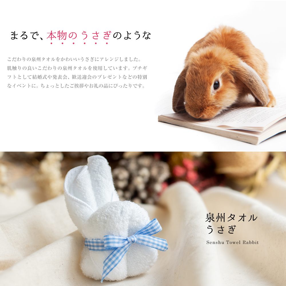 楽天市場 プチシリーズ 泉州タオル ミニうさぎ ピンク ホワイト タオル ギフト 出産祝い かわいい お返し プレゼント ハンドタオル お誕生日 退職祝い 送別会 出産祝 法人用ギフト ご自宅用 お見舞い クリスマス 結婚祝い 2点までメール便可 ユメギフト楽天