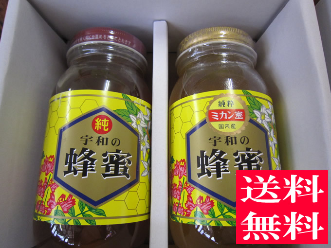 楽天市場】【ギフト】【送料無料 はちみつ セット】生はちみつ 非加熱 純粋百花蜂蜜1kg×2本セット【お歳暮】【お中元】【宇和養蜂】【国産】【愛媛産】【smtb-kd】  : 愛媛のみかん夢果実