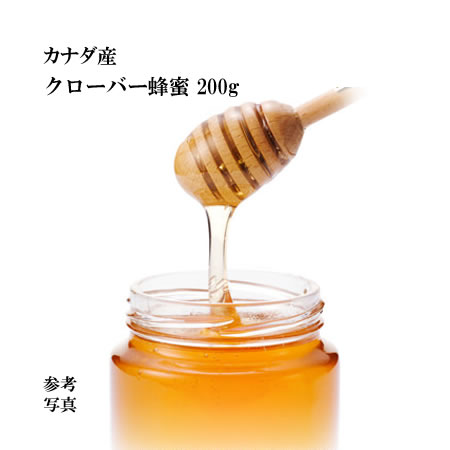 カナダ産 クローバー蜂蜜200g『1000円ポッキリ 送料無料』【ネコポス】【宇和養蜂】【smtb-KD】