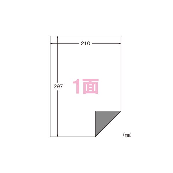 エーワン ラベルシール〈プリンタ兼用〉下地がかくせる修正タイプ マット紙（A4判） 100枚入 31282 100枚 下地を完璧に隠す プリンタ兼用の修正タイプラベルシール マットな質感のA4判100枚入り 8,304円