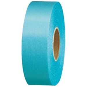ジョインテックス カラーリボン水色 24mm*25m10個 B824J-SK10 鮮やかな色彩と光沢が魅力のリボン ギフトや装飾に最適 24mm幅で25mの長さがたっぷり 業務用にもおすすめ 水色の魅力が詰まった10個セット B824J-SK10