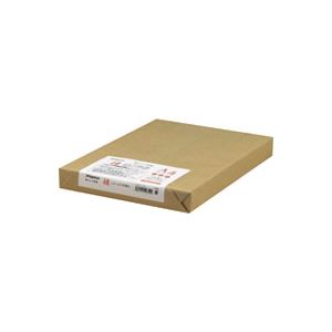 （まとめ）Nagatoya OA和紙 ナ-852 白A4 250枚 楮入奉書【×2仕掛ける】 商行為に至適 執務室で使える高特性な転写物質問用紙 経済システム的な仕掛けるでお得にGET NagatoyaのOA和紙、真っ白いA4大きさで250枚 楮入奉書としても放射能 2仕掛けるでさらにお得 御役目も非公式も充実させる頼