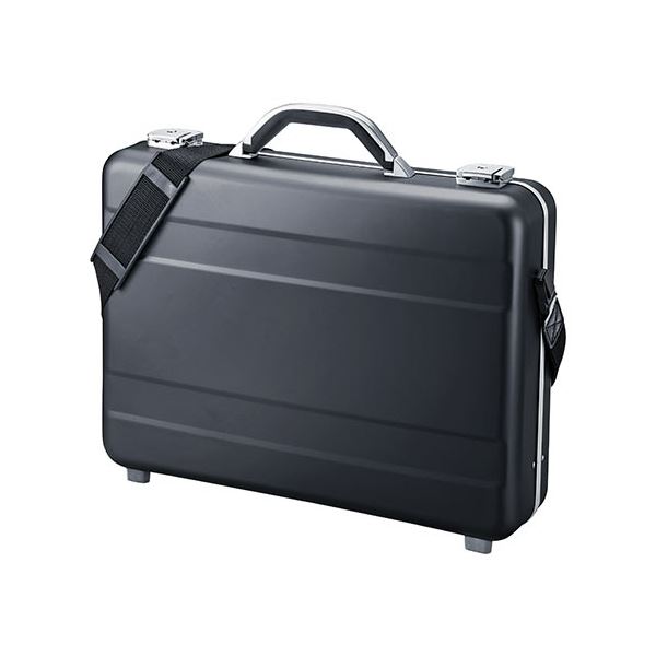 サンワダイレクト 公使館員(軽銀入れもの・15.6型相応う・A4取り片付ける 納める ・マイコン パソコン 取り片付ける 納める ・黒いこと) 200-BAG155BK 1個 黒 万覚え帳パソコン マイコン も取り片付ける 納める 聞き入れる オシャレな軽銀入れもので今めかしいに持ちはこぶ 黒