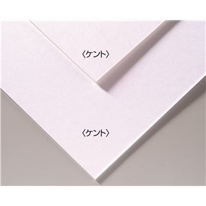 (まとめ) A&B オリジナル 両面アートボード/イラストボード 【B4】 ECO素材 ケント 【×30セット】 未来を描く才能を育む 学校用アートセット 美術の授業がもっと楽しくなる デッサンから描画まで、すべてが叶う 両面使えるアートボードで創造力を広げよう B4サイズのエコ