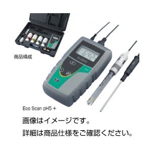pH計 Eco ScanpH5+ 編成替え的な試験手道具 最新価値づける器であなたの練習曲を受け支える 多役立つことPH計・ORP計、系統発生したEco ScanpH5+