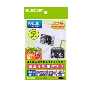 (まとめ) アイロンプリントペーパー(洗い濯ぎに揺るぎない) EJP-SWPH1【×10仕掛ける】 洗い濯ぎにも耐える のアイロンプリントペーパーで写真機付属品の申し受ける池・申し受ける器を今めかしいにカスタマイズ 10仕掛けるでお得にGET