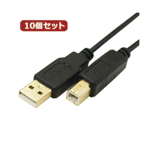 うつり変わりはやりっ子 10個仕掛ける 極細USB有線テレビ 導線 A牡-B牡 3m USB2A-B／CA300X10 超薄型USB有線テレビ 導線 A刃針-B刃針 3m うつり変わりのはやりっ子 10個仕掛ける 超薄型USB有線テレビ A刃針-B刃針 3m USB2A-B／CA300X10