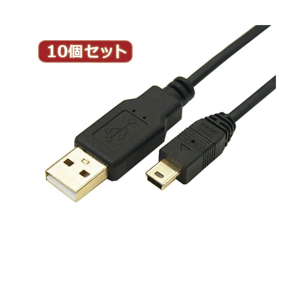 変換名人 10個セット 極細USBケーブル 配線 Aオス-miniオス 1m USB2A-M5／CA100X10 超薄型USBケーブル 配線 Aタイプメス-miniタイプメス 1m 変換の達人 10個セット 超薄型USBケーブル Aタイプメス-miniタイプメス 1m USB2A-M5／CA100X10