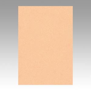 （まとめ） 文運堂 ニューカラーR 八ツ切 横271×縦392mm 8NCR-103 はだいろ 100枚入 【×2セット】 鮮やかなカラーパレット 多彩な色彩が広がる画用紙 八ツ切サイズで大迫力 文運堂のニューカラーRが進化 広さ271×392mmで表現の幅が広がる はだいろの100枚入り 2セットで