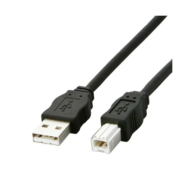 （まとめ） 環境対応 USBケーブル 配線 USB2-ECO50 1本入 【×2セット】 環境に配慮したUSBケーブル 配線 、RoHS指令に対応 のUSB2-ECO50、1本入りセットを2倍楽しもう