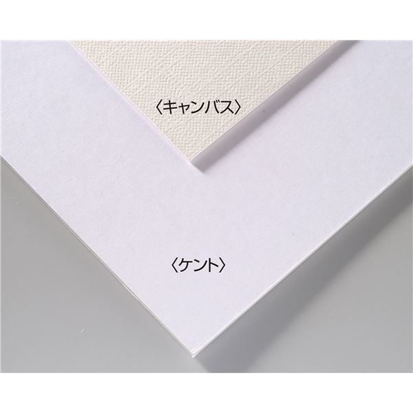 (まとめ) A＆B オリジナル 両面アートボード/イラストボード 【B3】 ECO素材 キャンバス 【×30セット】 未来のアーティストを育む学校用アートセット デッサンから描画まで、すべてが叶う両面使えるアートボードで創造力を広げよう 環境に優しいECO素材のキャンバスで、30