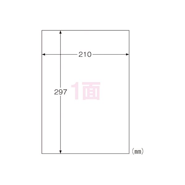 ヒサゴ 屋外用ラベル A4 ノーカット 100枚 KLP862 屋外でも安心 安全 耐久性抜群のA4サイズラベル100枚セット ノーカットで使いやすさも◎ ヒサゴがお届けするKLP862