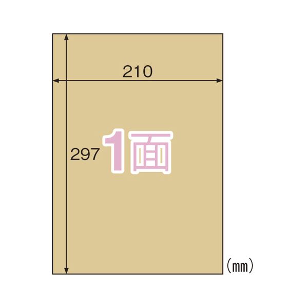 （まとめ） ヒサゴ クラフト紙ラベル ライトブラウン ノーカット 20枚入 【×5セット】 茶 クラフト紙の魅力を最大限に引き出す 使い勝手抜群のライトブラウンラベル 段ボールや茶封筒にぴったり ノーカットで20枚入り 便利なまとめパック ×5セットでお得 茶