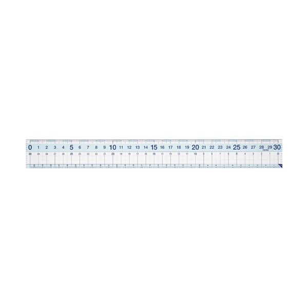 (まとめ) レイメイ藤井 StudyMate先生おすすめ 直定規(すべり止め加工付) 30cm APJ257 1個 【×50セット】 左手でも使いやすい両手対応メモリの直定規 滑り止め加工付きで使いやすく、正確な測定をサポート 学校やオフィス 事務用 で必需品 50セットでお得