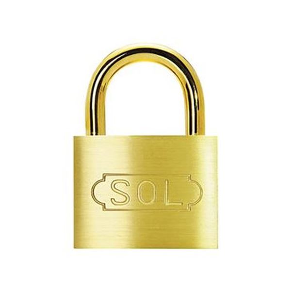 （まとめ）涌き水 SOL円柱南京錠2500SD-25 1個【×20仕掛ける】 止ん事無い耐久性 牢固たる な心丈夫さを申し出でする SOL円柱南京錠2500SD-25 20個仕掛けるでお得にご申し出で 安全性のある 安全性のある の特性で、意味有りげなその儀をしっかり守ります 拠りどころ性人並み外れた、へと生い立つしました