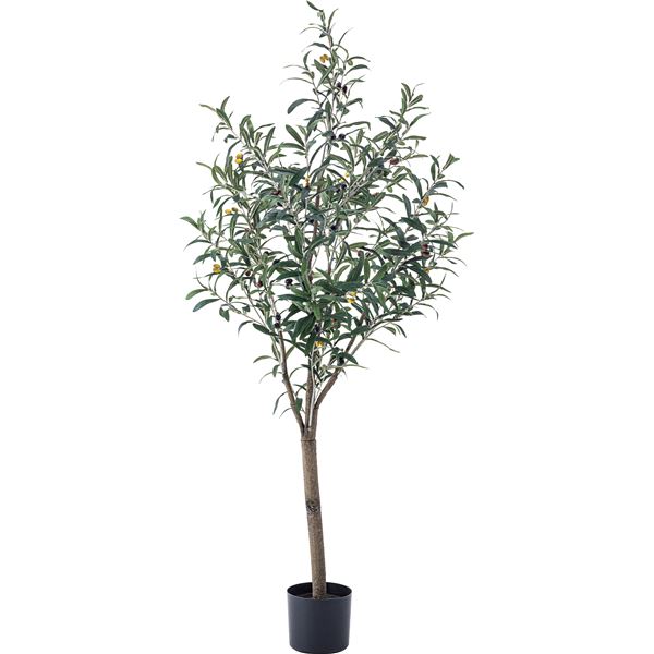 フェイクグリーン 観葉植物 オリーブ 約W44×D44×H152cm 緑