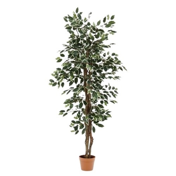 人工観葉植物 インテリアグリーン フィカス 6号鉢対応 690 B 52663 〔リビング 店舗 ショップ お店〕 緑