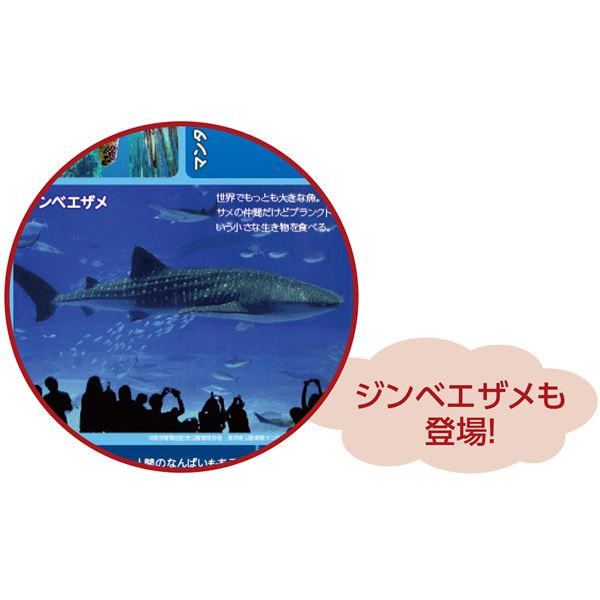 公式通販 まとめ わくわくすいぞくかんすごろく Qdtek Vn