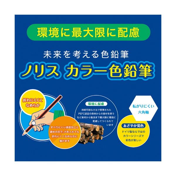 お得セット ステッドラー ノリスカラー色鉛筆紙箱入ハーフサイズ 12色 各色1本 18501C12PB 1セット 5パック btc.com.br