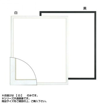 大額 5382 デッサン額 半切 白 4,553円