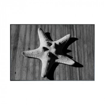 Photography Star fish アートパネル IAA-53248