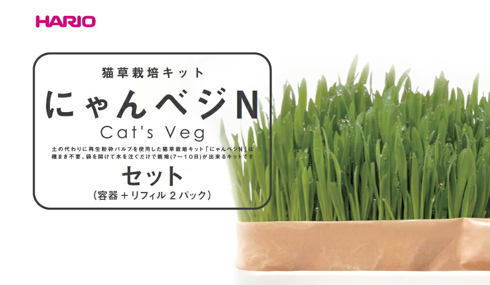 市場 ハリオ にゃんベジ セットN 猫草栽培キット