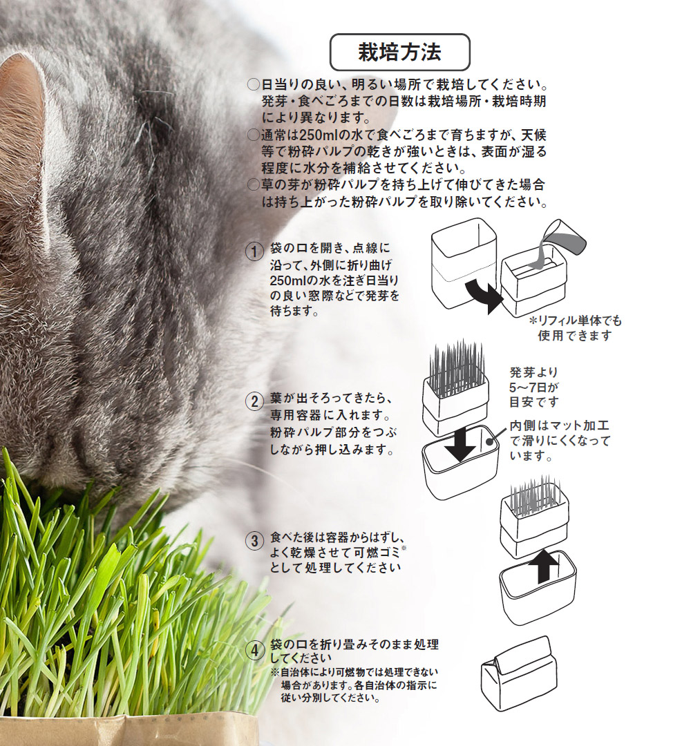 市場 ハリオ にゃんベジ セットN 猫草栽培キット