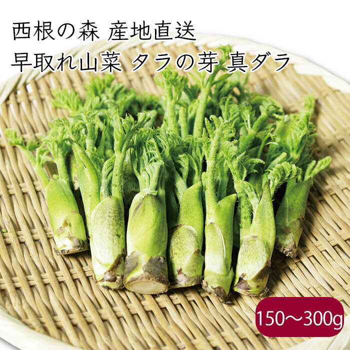 タラの芽 山菜 美味しい野菜研究室さん専用 Amazon | 山形県産 天然 タラの芽 500g (冷蔵品) 春の味覚