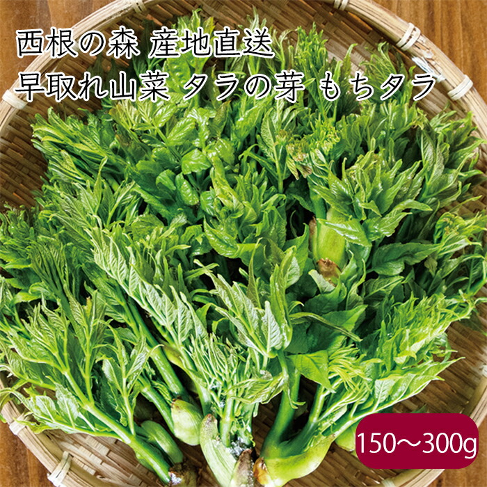 たらのめ 楽天市場】たらの芽〈タラノメ〉タラメ たらめ1パック、50g前後