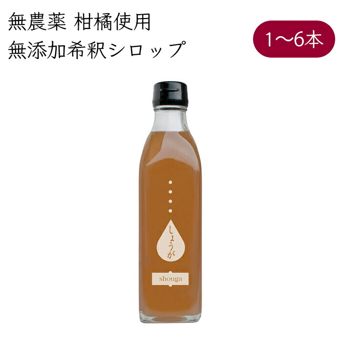 岡林農園 ジンジャーゆずシロップ 4倍希釈 ドリンク 300ml/本《メーカー直送》（無農薬 柚子 使用 ） 高知 高知県 柚 ゆず ユズ yuzu 生姜 しょうが ショウガ 姜 シロップ syrup 希釈 ジンジャーシロップ 生姜シロップ