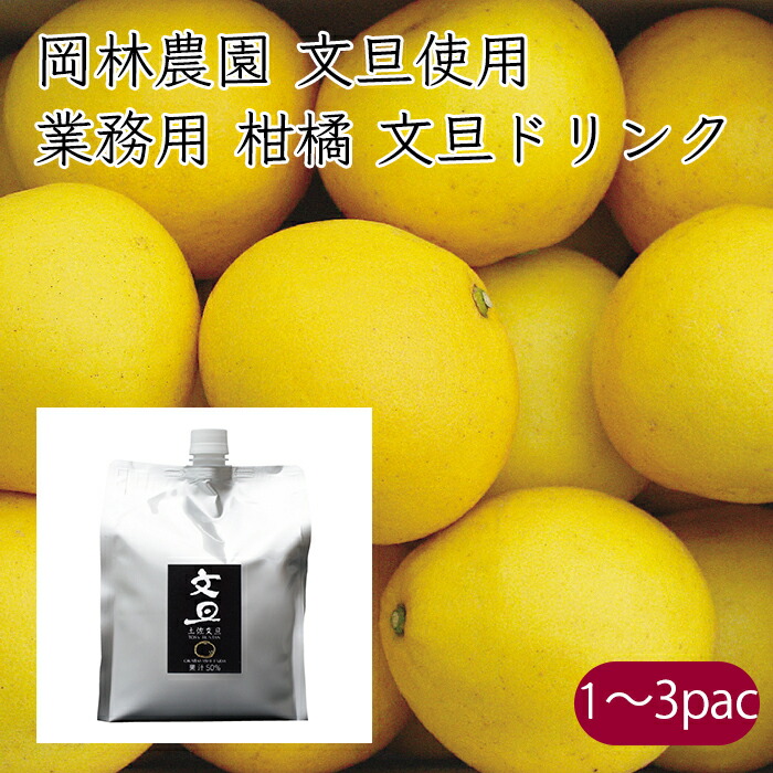 高知県 文旦 ぶんたん 20kg 土佐文旦（ぶんたん、ブンタン）