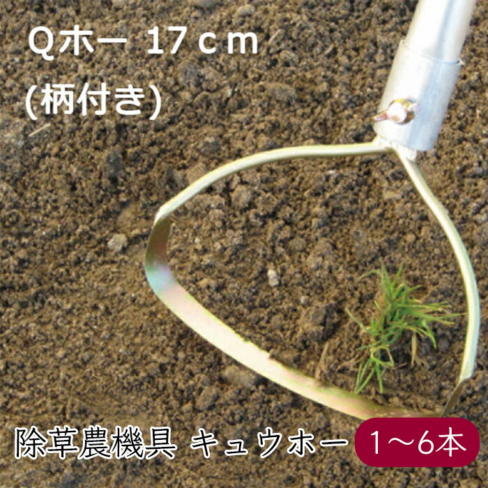 圧倒的人気 本日発送  【M54K680ZQLD】 限定デザイン