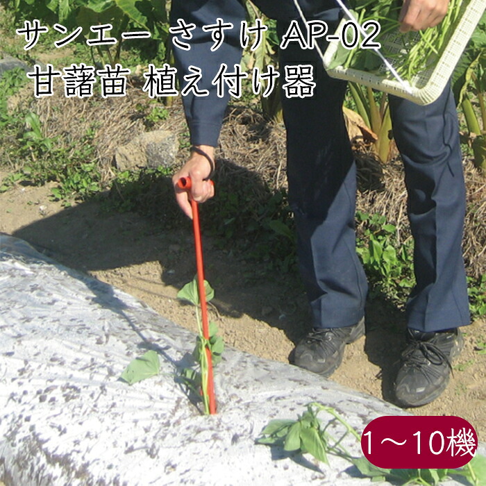 サンエー 甘藷苗 植え付け器 さすけ AP-02《メーカー直送》【送料無料 沖縄離島を除く】さんえー SUN-A サスケ かんしょ 甘藷 かんしょ苗 さつまいも さつま芋 薩摩芋 芋づる 蔓 つる ツル 苗 農家 農機具 農機 農工具 農業|生姜柚子の専門店 土佐山マルシェ