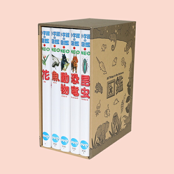 選べる！【専用BOX付セット！】小学館の図鑑NEO 5冊セット 【宅配便 