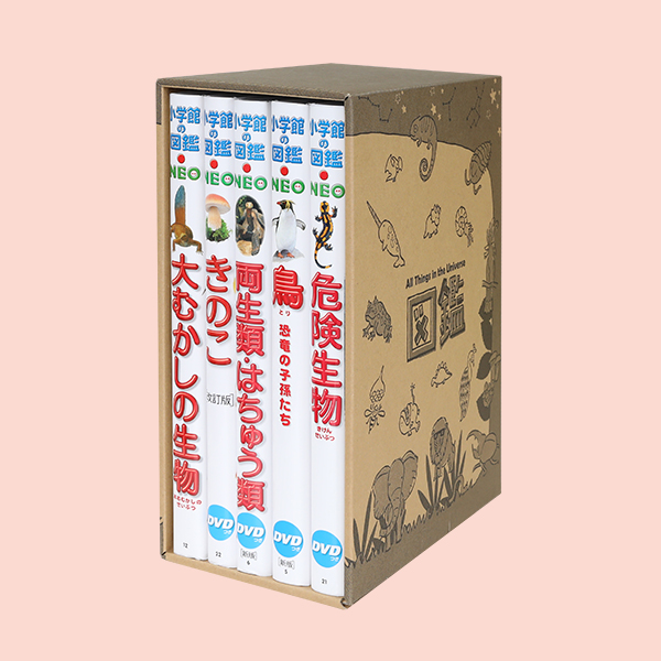 小学館の図鑑neoドキドキ5冊セット その他 ゆめたまご高ポイント還元 専用box付セット 絵本 ポイントお得 宅配便 追跡あり 送料無料