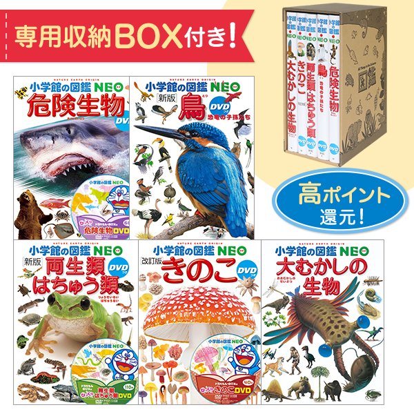 小学館の図鑑neoドキドキ5冊セット その他 ゆめたまご高ポイント還元 専用box付セット 絵本 ポイントお得 宅配便 追跡あり 送料無料