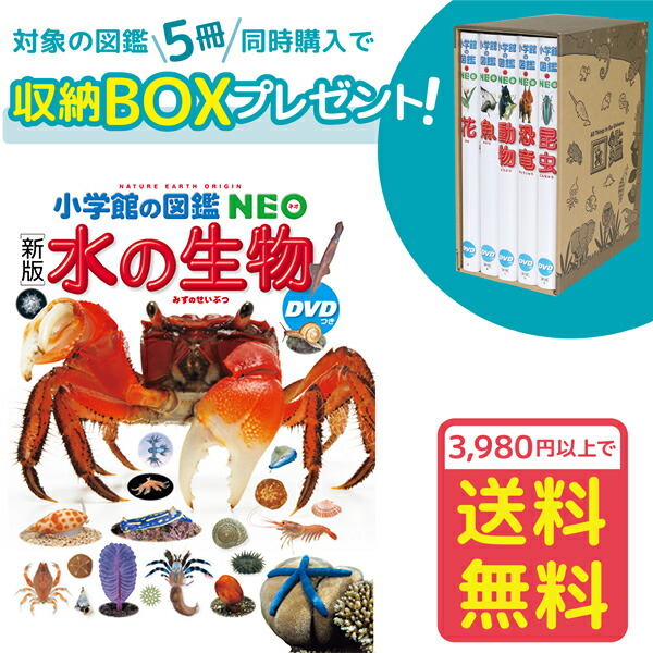 楽天市場】【収納BOX付・送料無料・条件有】小学館の図鑑NEO［新版］魚 