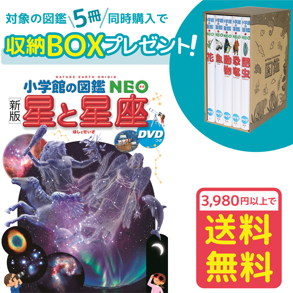 楽天市場】選べる！【専用BOX付セット！】小学館の図鑑NEO 5冊セット 